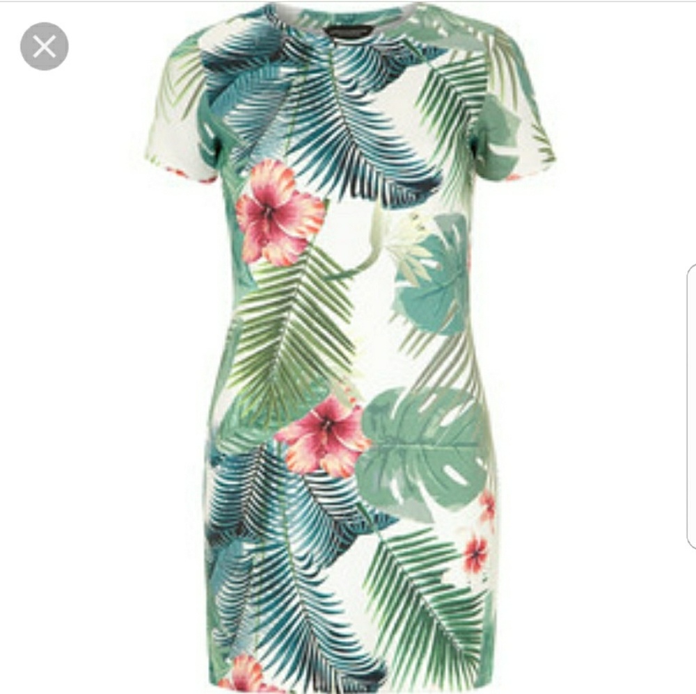 Scuba Palm Print Dress